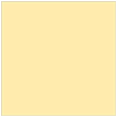 Sunflower Square Flat Paper 6 x 6 - 50/Pk