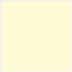 Sugared Lemon Square Flat Paper 6 x 6 - 50/Pk