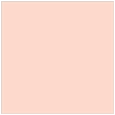 Ginger Square Flat Paper 6 x 6 - 50/Pk