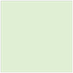 Green Tea Square Flat Paper 6 x 6 - 50/Pk