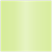 Sour Apple Square Flat Paper 6 x 6 - 50/Pk