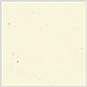 Milkweed Square Flat Paper 6 1/4 x 6 1/4 - 50/Pk