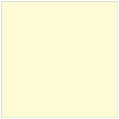 Sugared Lemon Square Flat Paper 6 1/4 x 6 1/4 - 50/Pk