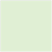 Green Tea Square Flat Paper 6 1/4 x 6 1/4 - 50/Pk