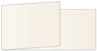 Pearlized Latte Fold Away Invitation 4 x 9 1/4 - 25/Pk