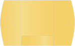 Gold Single Panel Folders (9 x 12) 10/Pk