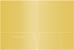 Gold Pocket Folder 9 x 12 - 10/Pk