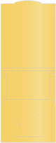 Gold Capacity Folders Style B (12 1/4 x 9 1/4) 10/Pk