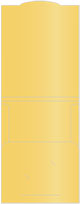 Gold Capacity Folders Style B (12 1/4 x 9 1/4) 10/Pk