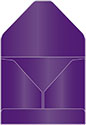 Purple Document Portfolios Style B (9 x 11 1/2) 10/PK