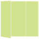 Pistachio Gate Fold Invitation Style A (5 x 7) 10/Pk