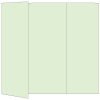 Green Tea Gate Fold Invitation Style A (5 x 7)