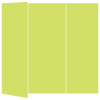 Citrus Green Gate Fold Invitation Style A (5 x 7) - 10/Pk