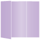 Violet Gate Fold Invitation Style A (5 x 7) 10/Pk