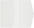 Silver Gate Fold Invitation Style E (5 1/8 x 7 1/8)