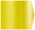 Green Silk Gate Fold Invitation Style E (5 1/8 x 7 1/8) - 10/Pk