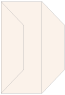 Old Lace Gate Fold Invitation Style F (3 7/8 x 9) 10/Pk