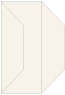 Beige Gate Fold Invitation Style F (3 7/8 x 9) 10/Pk