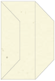 Milkweed Gate Fold Invitation Style F (3 7/8 x 9) - 10/Pk