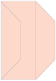 Ginger Gate Fold Invitation Style F (3 7/8 x 9) - 10/Pk