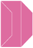 Raspberry Gate Fold Invitation Style F (3 7/8 x 9) 10/Pk