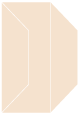Latte Gate Fold Invitation Style F (3 7/8 x 9)