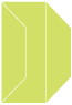 Citrus Green Gate Fold Invitation Style F (3 7/8 x 9) 10/Pk