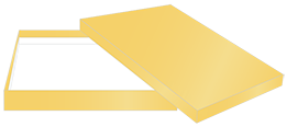 Metallic Gold Booklet 6 x 9 Invitation Box 1 Inch Deep