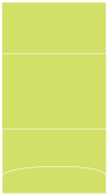 Citrus Green Pocket Invitation Style A3 (5 1/8 x 7 1/8) 10/Pk