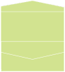 Pistachio Pocket Invitation Style A4 (4 x 9) 10/Pk