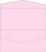 Pink Feather Pocket Invitation Style A4 (4 x 9) 10/Pk