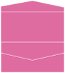 Raspberry Pocket Invitation Style A4 (4 x 9)10/Pk