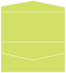 Citrus Green Pocket Invitation Style A4 (4 x 9)10/Pk