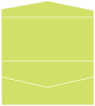 Citrus Green Pocket Invitation Style A4 (4 x 9) 10/Pk