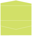 Citrus Green Pocket Invitation Style A4 (4 x 9) 10/Pk