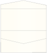 Pearlized Latte Pocket Invitation Style A4 (4 x 9) 10/Pk