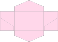 Pink Feather Pocket Invitation Style B3 (5 3/4 x 8 3/4) - 10/Pk