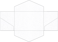 Metallic Snow Pocket Invitation Style B3 (5 3/4 x 8 3/4) - 10/Pk