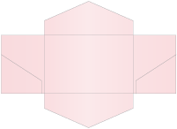 Rose Pocket Invitation Style B3 (5 3/4 x 8 3/4) - 10/Pk