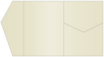 Champagne Pocket Invitation Style B5 (5 1/4 x 7 1/4)10/Pk