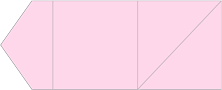 Pink Feather Pocket Invitation Style B6 (6 1/8 x 6 1/8) - 10/Pk