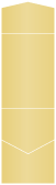 Gold Pocket Invitation Style C2 (4 1/2 x 6 1/4)10/Pk