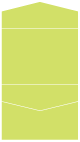 Citrus Green Pocket Invitation Style C4 (5 1/4 x 7 1/4)10/Pk