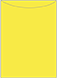 Lemon Drop Jacket Invitation Style A2 (5 1/8 x 7 1/8)10/Pk