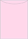Pink Feather Jacket Invitation Style A2 (5 1/8 x 7 1/8)10/Pk