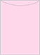 Pink Feather Jacket Invitation Style A2 (5 1/8 x 7 1/8) 10/Pk