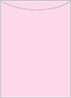 Pink Feather Jacket Invitation Style A2 (5 1/8 x 7 1/8) - 10/Pk