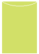 Citrus Green Jacket Invitation Style A2 (5 1/8 x 7 1/8) 10/Pk