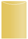 Gold Jacket Invitation Style A2 (5 1/8 x 7 1/8)10/Pk