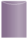 Purple Jacket Invitation Style A2 (5 1/8 x 7 1/8)10/Pk